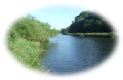 Water Resources Systems